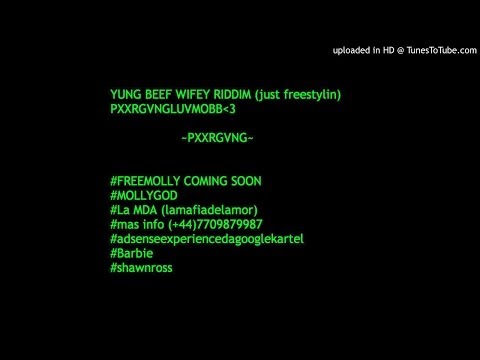 YUNG BEEF ~WIFEY RIDDIM~[FREESTYLE]