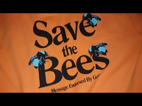 download lagu mp3 mp4 Save The Bees Shirt, download lagu Save The Bees Shirt gratis, unduh video klip Save The Bees Shirt