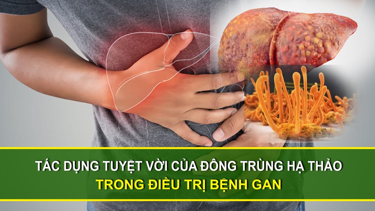 Người bị viêm gan B có nên uống đông trùng hạ thảo không?