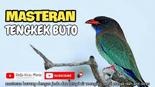 Download lagu Masteran Mewah...!! Burung TENGKEK BUTO dengan Terapi Air Mengalir | Radja Kicau Mania mp3 Download lagu Masteran Mewah...!! Burung TENGKEK BUTO dengan Terapi Air Mengalir | Radja Kicau Mania mp3