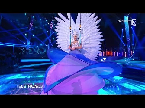 Le spectacle enchanteur des Farfadais au Téléthon 2015 - 04/12/2015