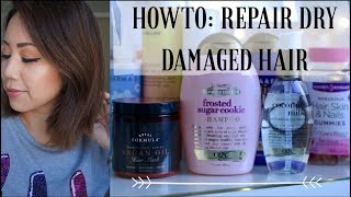 HOW TO  REPAIR DRY DAMAGED HAIR AT HOME  & FAST | TIPS TO FIX DAMAGED HAIR FAST
