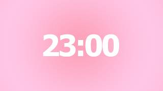 23 Minute Timer 🌸 No Music | 23 Minute Aesthetic Countdown Timer | 23 Minute With Alarm