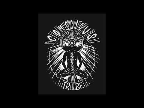 FIKIR AMLAK - SERIOUS TIME + SERIOUS DUB - CONSCIOUS TRIBE RMX