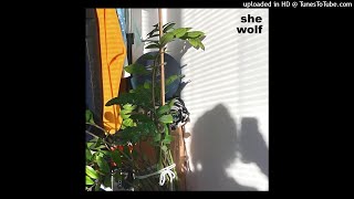 Shakira - She Wolf (intro loop &#39;n remix)