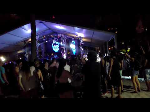 Cocodrills at the surfcomber pool for Miami music week