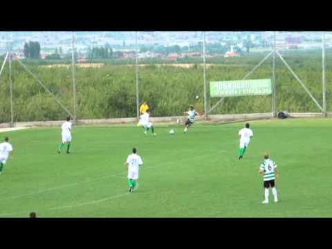 Brestnik -Rakovski 1va chast