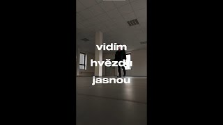 Video Schmüd - Vidím Hvězdu Jasnou (Vertical Video)