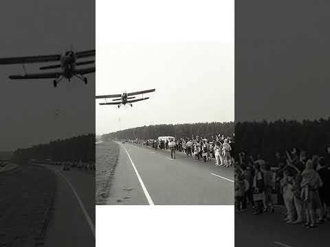 Beebilõust - Vabaduse Väljakul