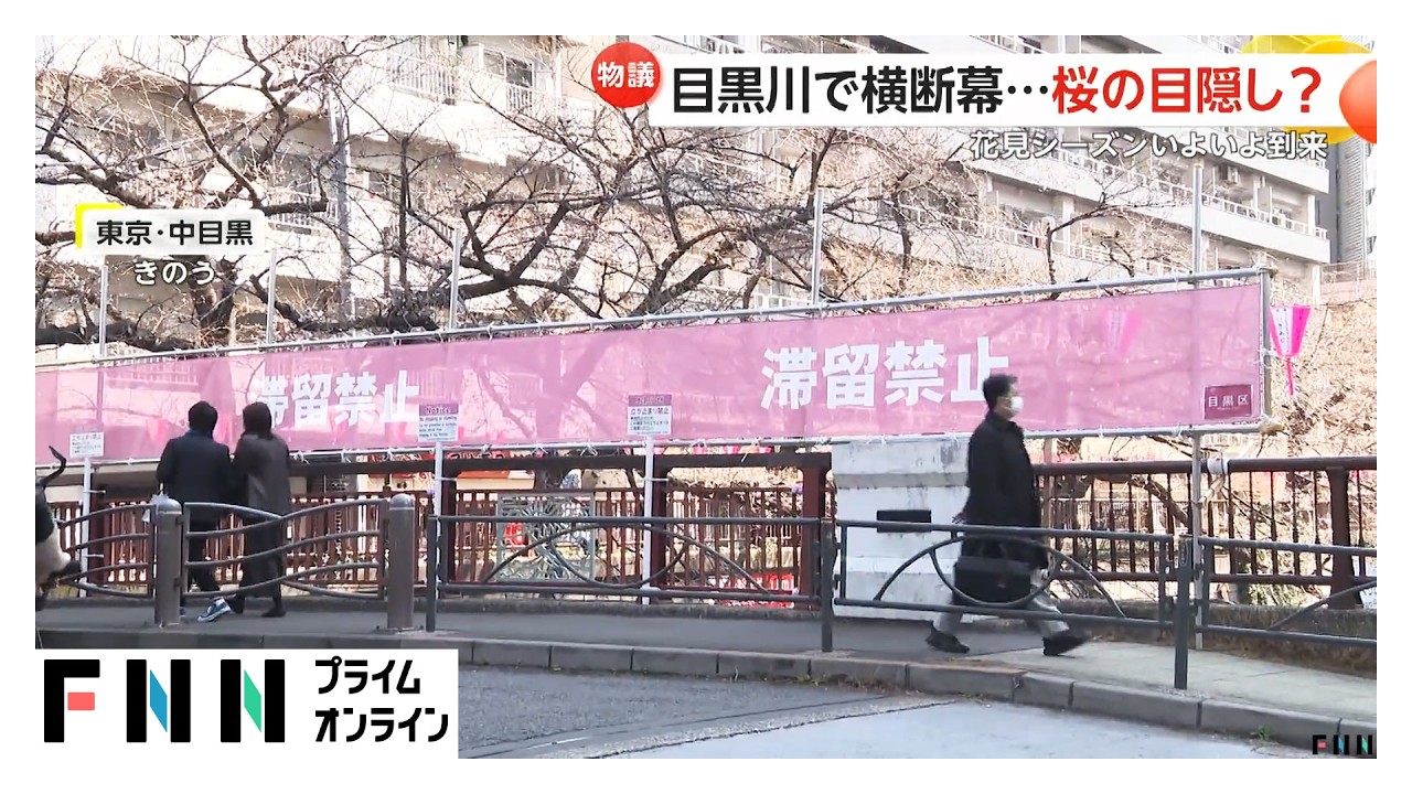 目黒川を覆う横断幕…桜の“目隠し”が物議「景観的に残念」（2026年03月26日）