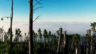 Hans-Joachim Roedelius - Lunz