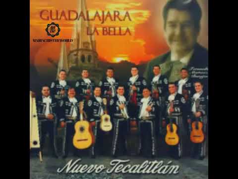 MARIACHI NUEVO TECALITLAN  - SONES DE VERACRUZ