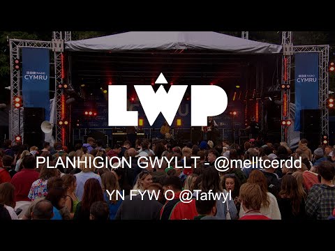 Mellt - Planhigion Gwyllt (Yn Fyw / Live) | Tafwyl 2022