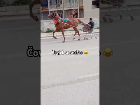 Da li je ovo legalno, koja kategorija treba za ovo? 😂🤯 #shorts #balkan #comedy