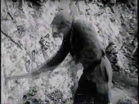 caen relève ses ruines 1950 reconstruction après les bombardements de la seconde guerre mondiale