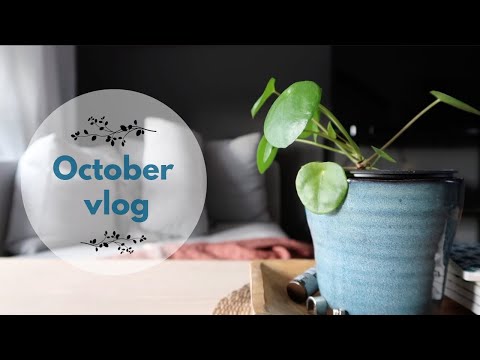 Ina Knits -  October vlog