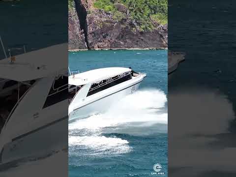 Turtle encounters in crystal-clear Malaysian waters - Malaysia scuba diving video