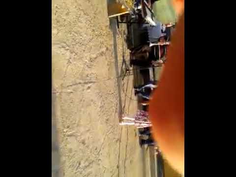 Aiana Maria Rada - Floare mandră bănățană - Rugă Ohabița - 5 anişori *