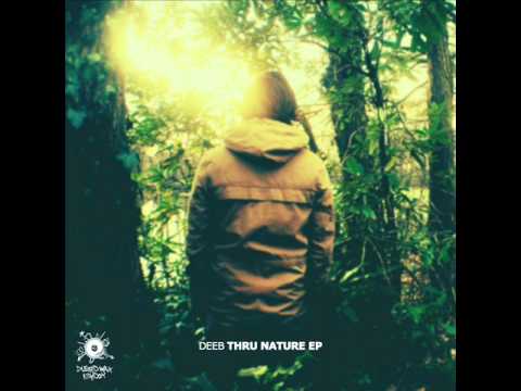 deeB - Thru Clouds [Thru Nature EP DWK208]