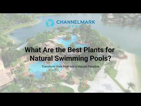 What Are the Best Plants for Natural Swimming Pools?