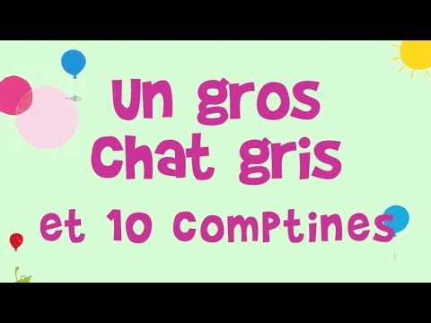 Jacques Haurogné - Un gros chat gris et 10 comptines et jeux de doigts