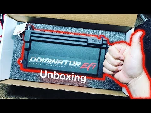 Buick Grand National Holley Dominator EFI Unboxing and Wiring Plans