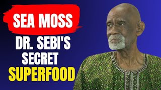 15 Sea Moss Benefits You’ve Never Heard Before (Dr. Sebi Was a Huge Fan)