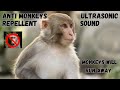 Anti Monkeys Repellent Sound Sound To Scare Monkeys Monkey Repellent Sound Prankmonkey Anti