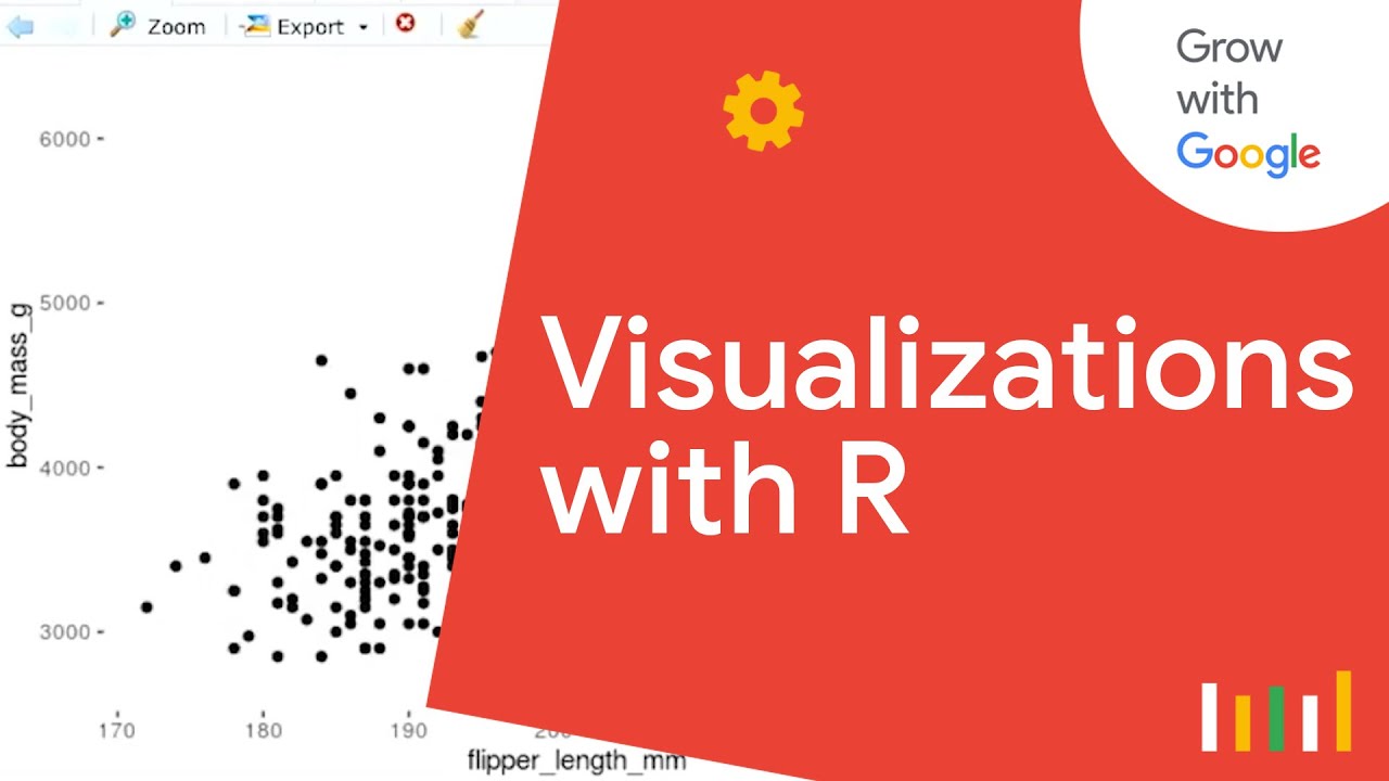 Intro to Data Visualization with R & ggplot2 | Google Data Analytics Certificate