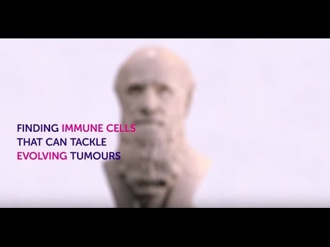 Finding immune cells that can tackle evolving cancers | Immunotherapy | Cancer Research UK