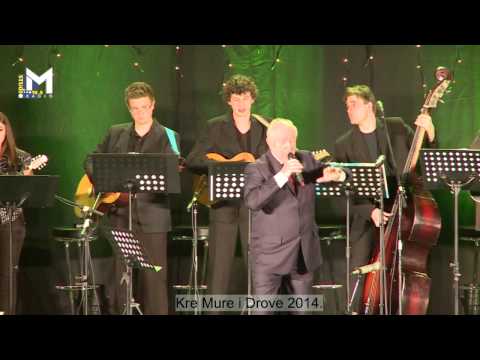 Božidar Brajković uz TS Frikovi - Međimurski čardaš (festival Kre Mure i Drove, Prelog 2014)