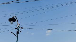 Cover art for the prom