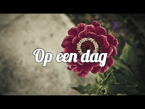 Chronic ft  Spark - Op een dag