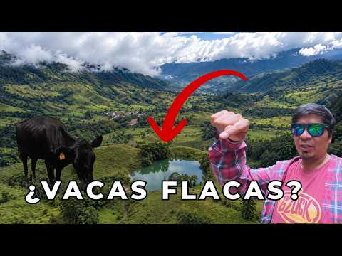 Nos aventuramos por esta ruta y encontramos mucho más que paisajes