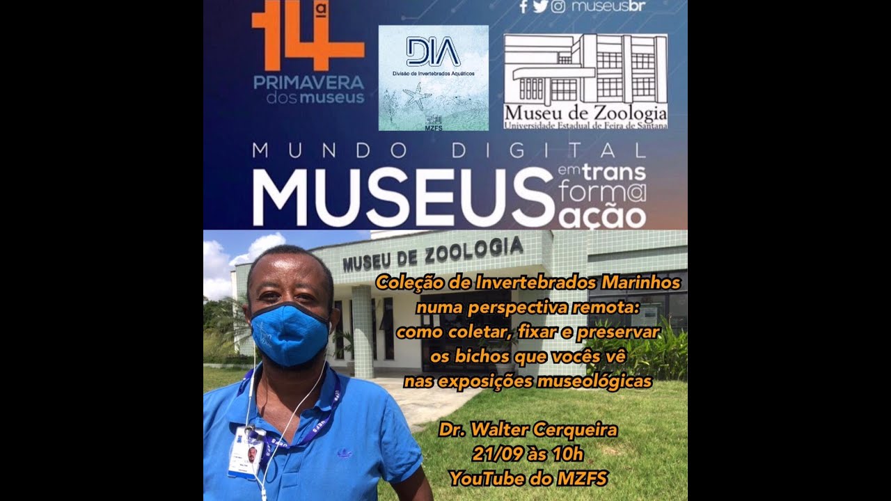 Coleção de Invertebrados Marinhos numa perspectiva remota