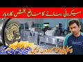 Macroni Making Business Pasta Making Machine