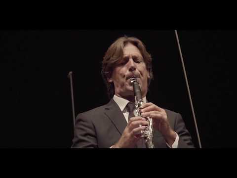 Paul Meyer, Dmitry Yablonsky, JSO - Alexey Shor: Verdiana