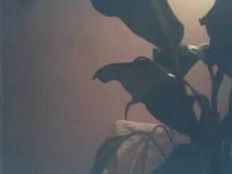 Cosmic Gate - Back 2 Back 3