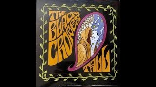 Black Crowes - Peace Anyway