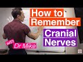 How To Remember Cranial Nerves