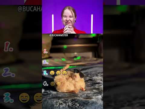 Try Not To Laugh Challenge😅🤩😂 #funny#toddlersoftiktok #funnyvideos#duet