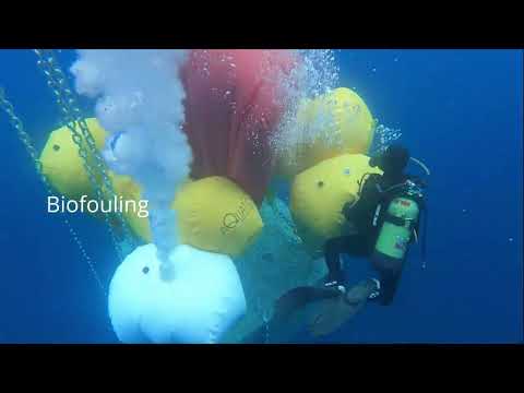 Aree Marine Protette in Sardegna