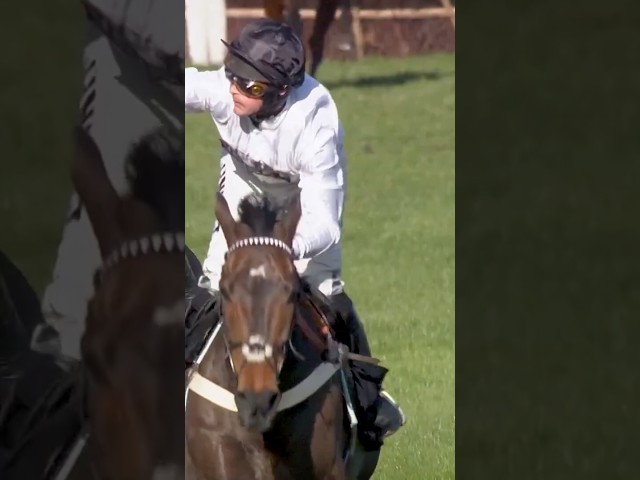 Thumbnail for Post ID: ZQ1zUfW5Fu8