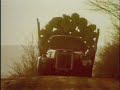 Classic Sesame Street Film Sawmill Feat Tree Tree Listen Here Tree