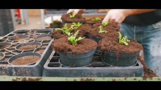 CFA de Lomme - Les métiers