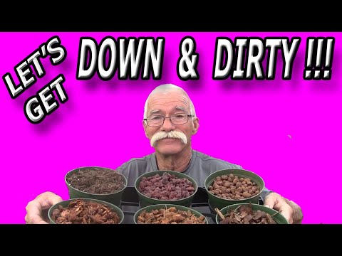 Bromeliad Potting Mixes!