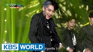 PENTAGON (펜타곤) - Gorilla [Music Bank / 2016.10.28]