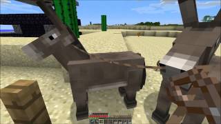 KollinsPlays Minecraft S01E39 - Too many Donkeys