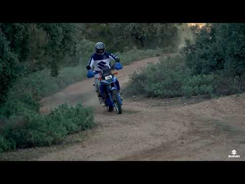 Suzuki DR BIG 800S de 1990