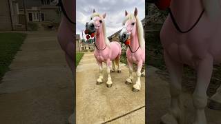 Download lagu Horse riding with Aumi mp3 Download lagu Horse riding with Aumi mp3